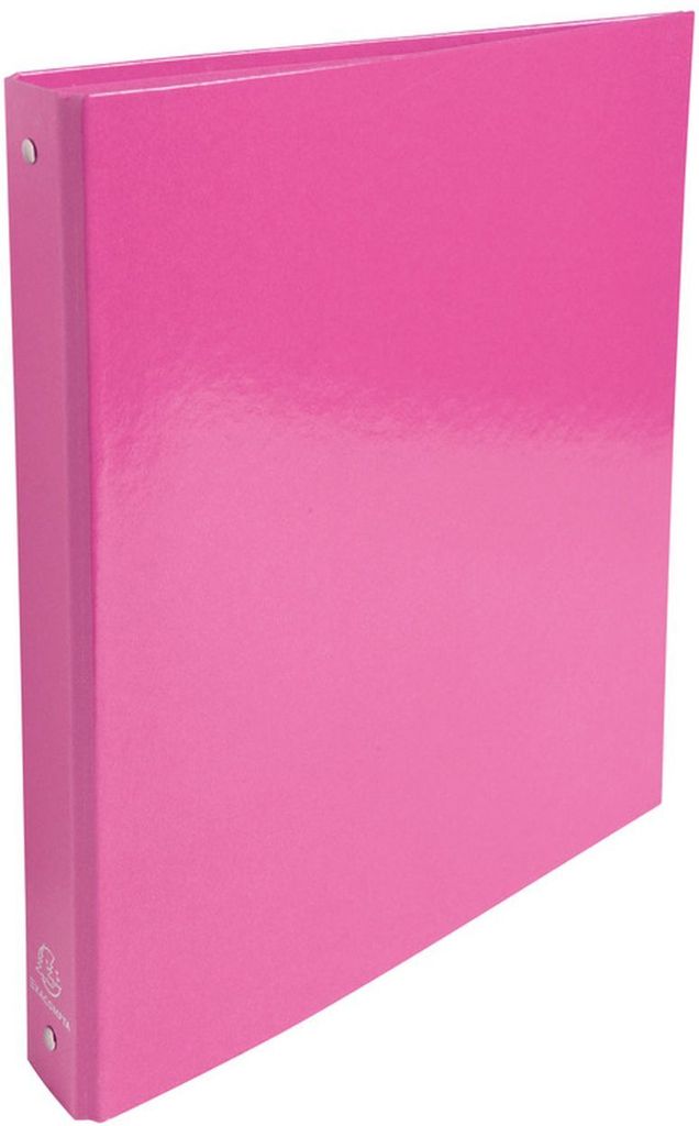 A pink ring binder is shown standing upright on a white background.