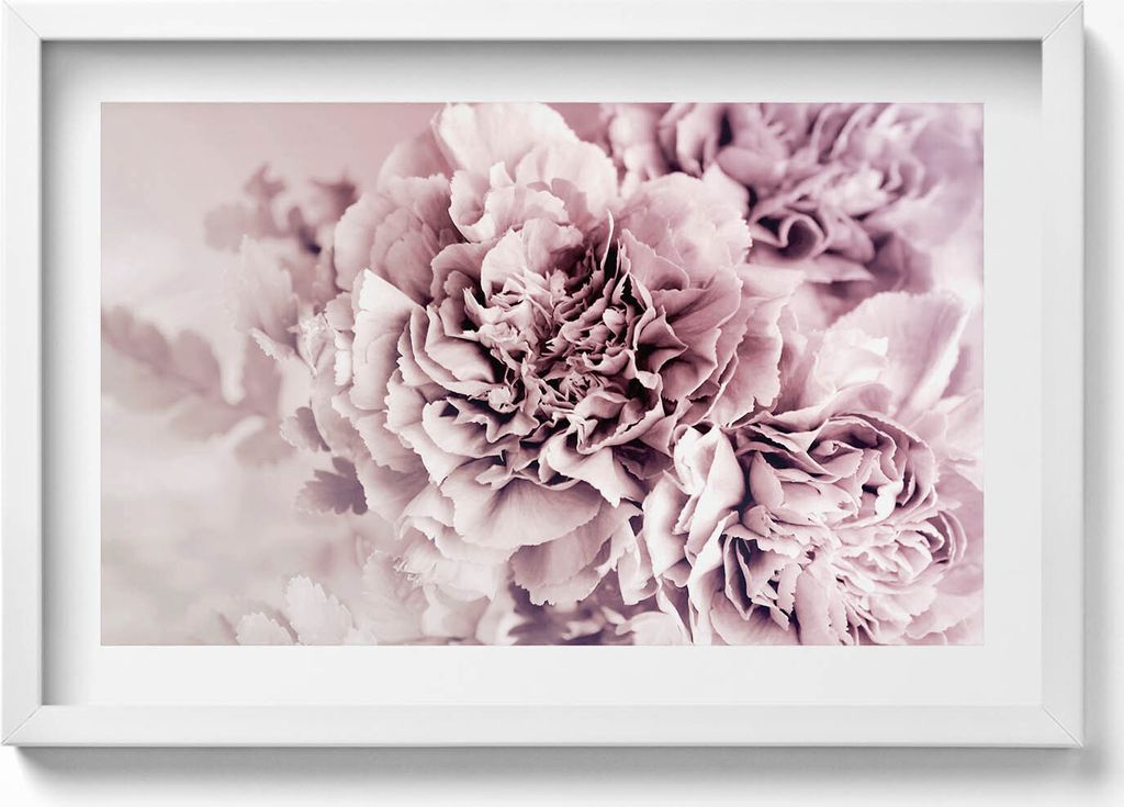 Blassrosa Pfingstrosenblüten– Wandbild mit Rahmen – Produktbild 