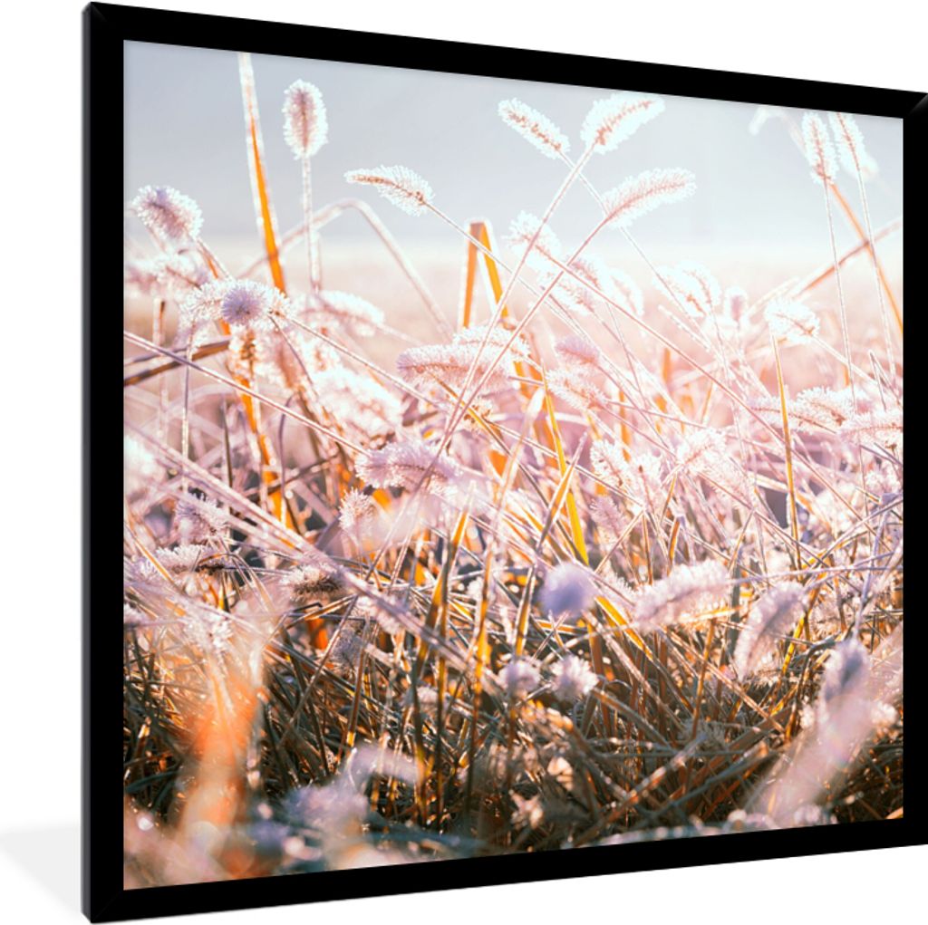 MuchoWow Gerahmtes Poster Gras - Sonne - Winter - Schnee 40x40 cm - Poster mit Schwarzem Bilderrahmen Wandposter Rahmen Foto Bilder - Mit Rahmen ...