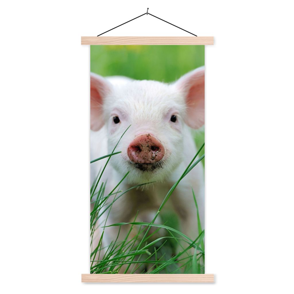 MuchoWow Textilposter Schwein - Tiere - Groß 60x120 cm mit holzfarbenen Rahmen - Holz