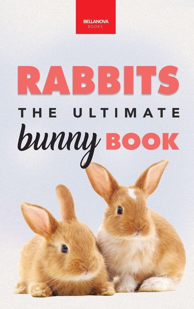 Rabbits The Ultimate Bunny Book