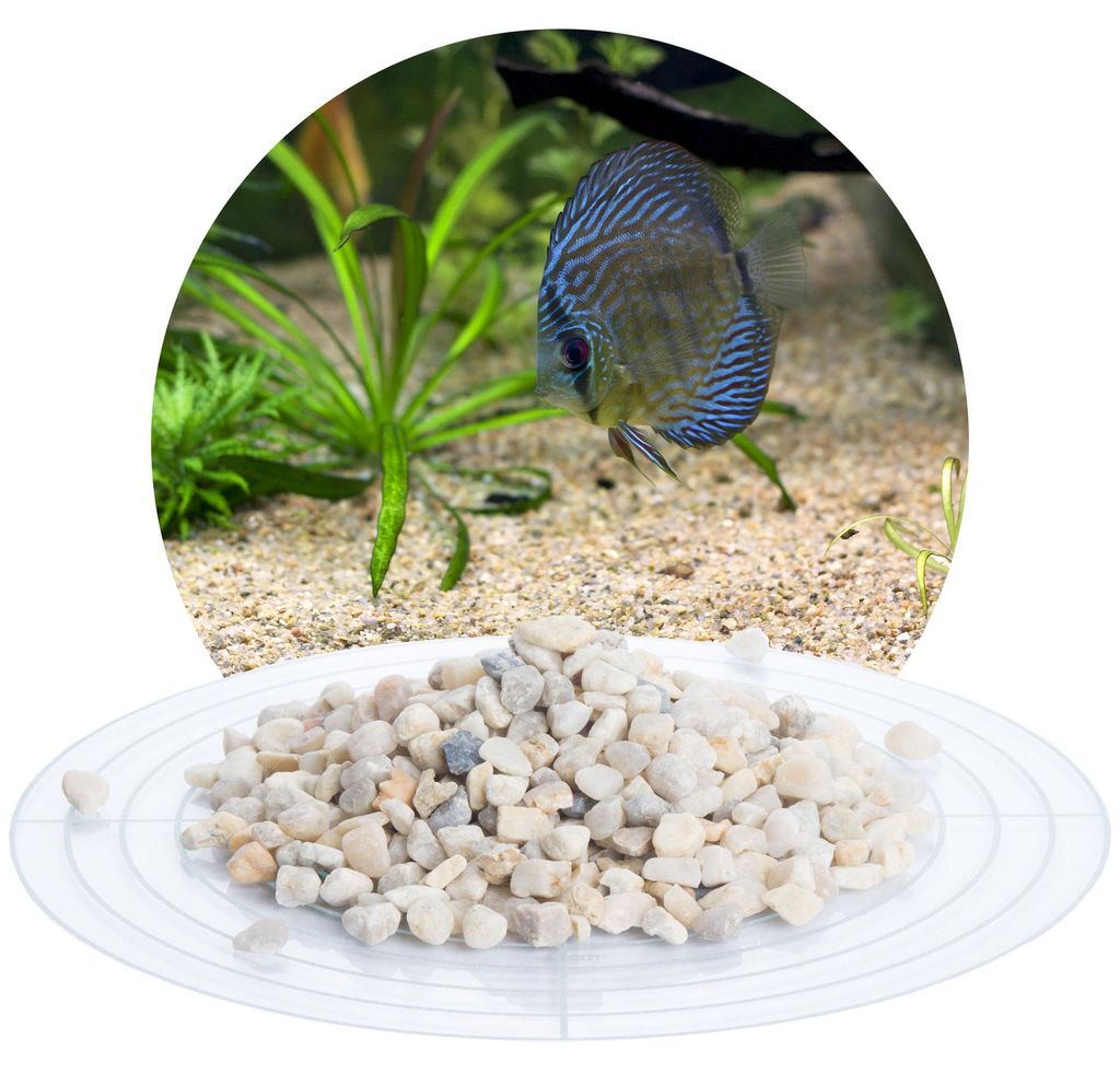 Schicker Mineral-Aquariumkies beige 25 kg-5,6-8,0mm Produktbild 