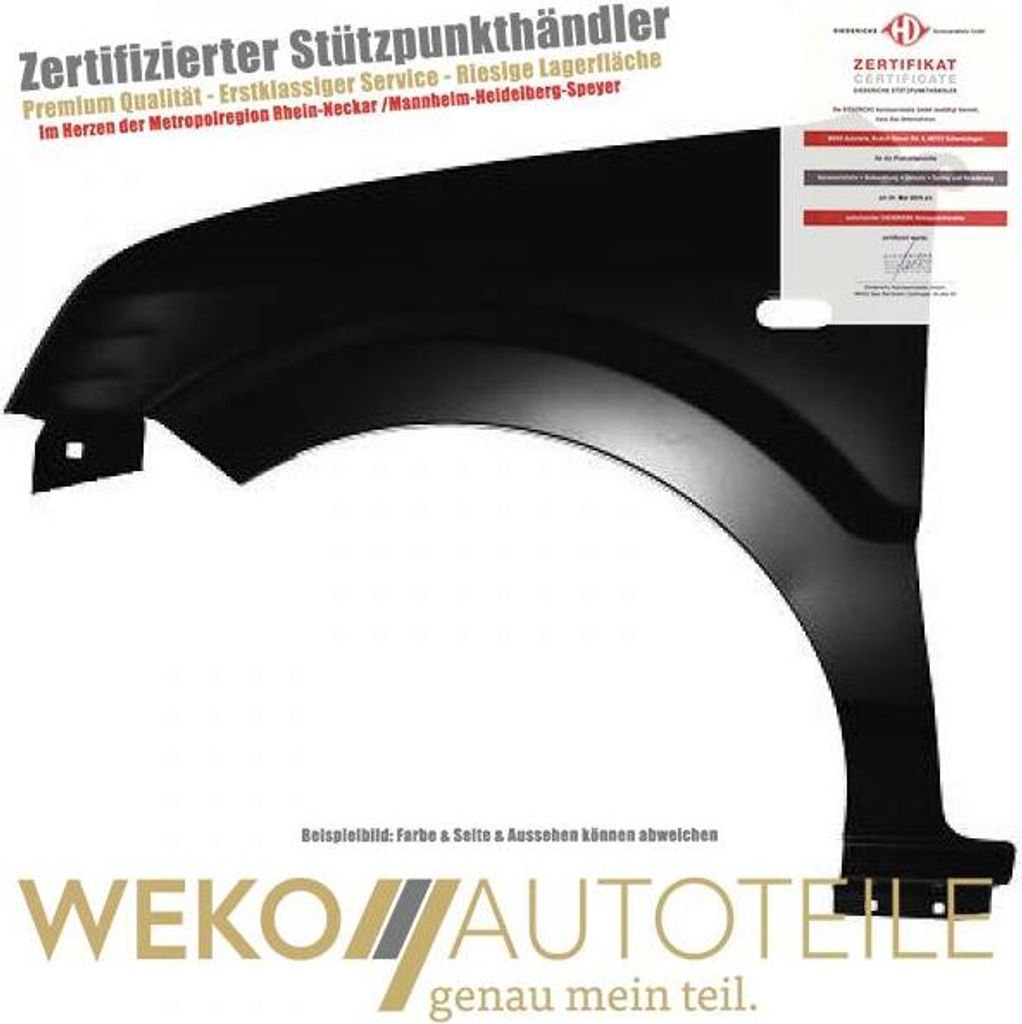 Diederichs Kotflügel li. Fusion, 02->>