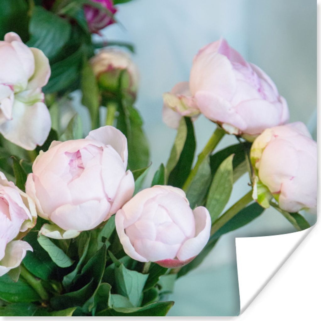 MuchoWow Poster Knospen von rosa Pfingstrosen in einer Vase 50x50 cm - Wohnzimmerdekoration