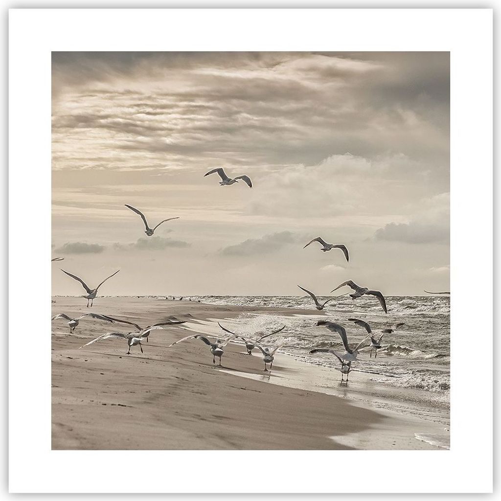 Poster - Poster ohne Rahmen - Möwen Küste Boho - 40x40 cm - Wand Bild - Wanddeko - Wandbilder - Kunstposter - Wandposter - Bilder - Kunstdruck - ...
