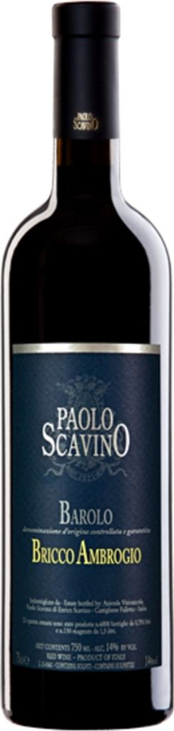 Barolo Bricco Ambrogio - 2017 - Paolo Scavino