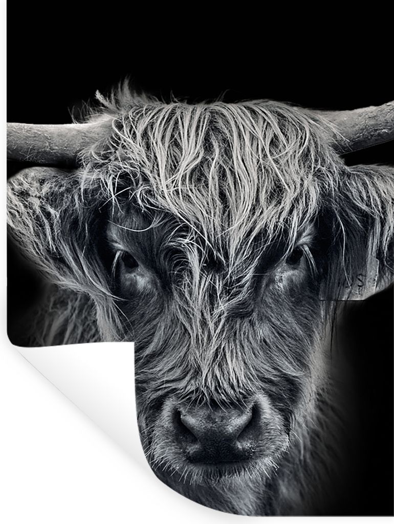MuchoWow Wandtattoo Wandsticker Wandaufkleber Schottischer Highlander - Schwarz - Kuh - Tiere 90x120 cm Selbstklebend und Repositionierbar - Falt...