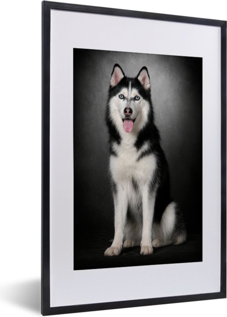 MuchoWow Gerahmtes Poster Sibirischer Schlittenhund 40x60 cm - Poster mit Schwarzem Bilderrahmen Wandposter Rahmen Foto Bilder - Poster in Rahmen