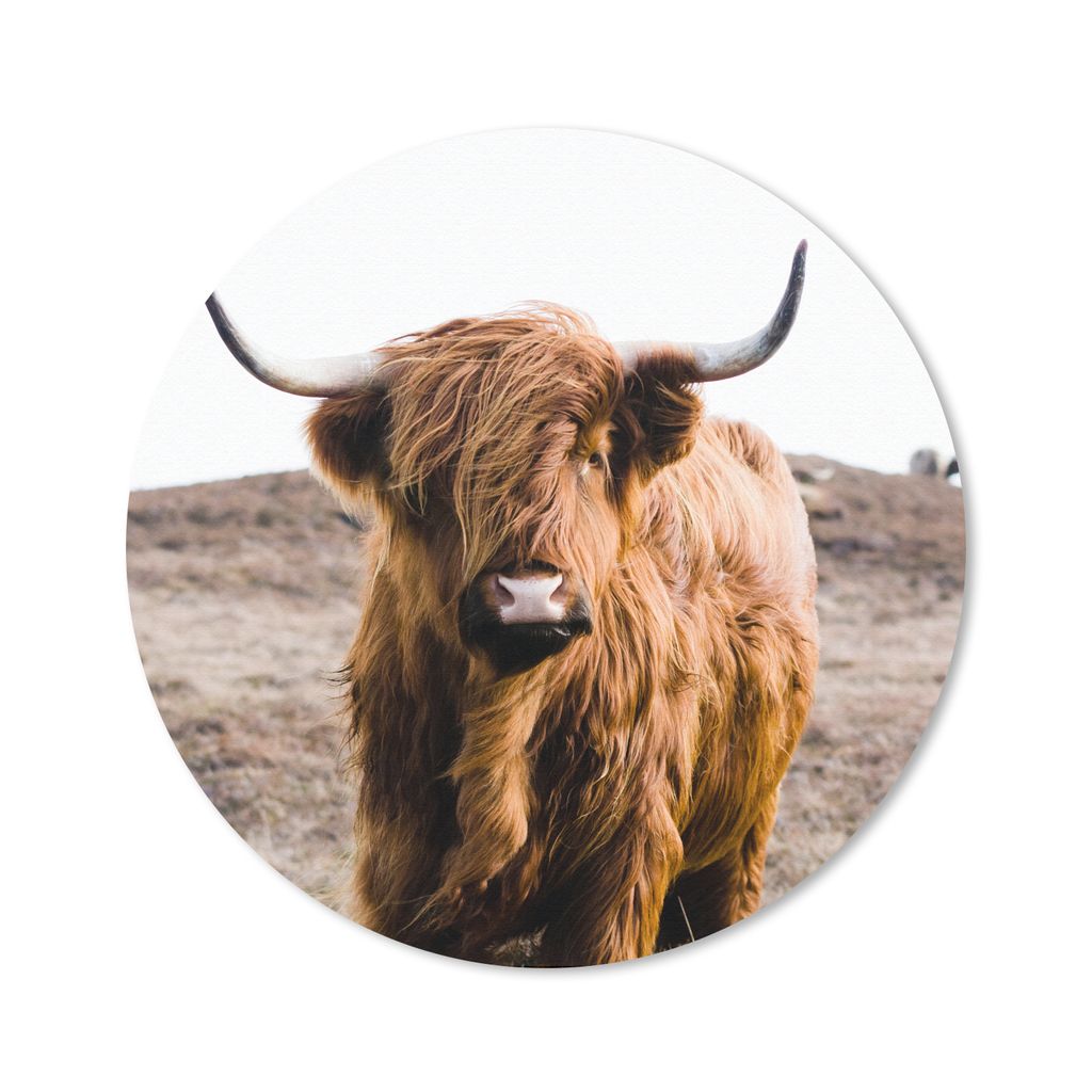 MuchoWow Mauspad Mousepad Schottische Highlander - Landschaft - Kuh - Braun - Tiere - Natur 20x20 cm - Mousepads - Maus Mat - Pad - Mausunterlage...