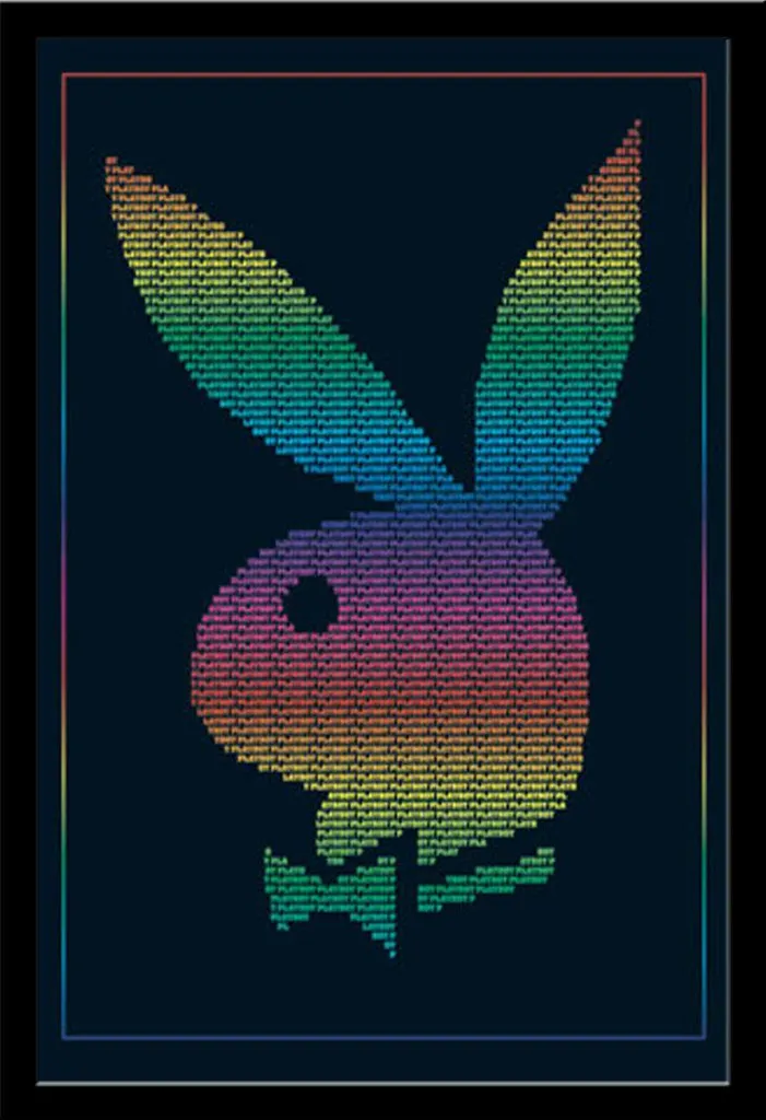 Poster Playboy Rainbow Encadré Shinsuke Noir sans Risque de Casse