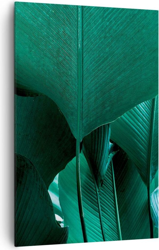 Bild auf Leinwand - Leinwandbild - Einteilig - Blätter Palmen Banane - 80x120cm - Wand Bild - Wanddeko - Wandbilder - Leinwanddruck - Wanddekorati...