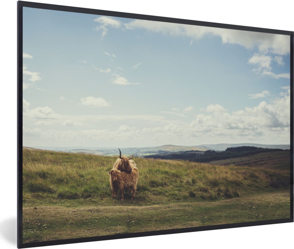 MuchoWow® MuchoWow® Gerahmtes Poster Schottische Produktbild 
