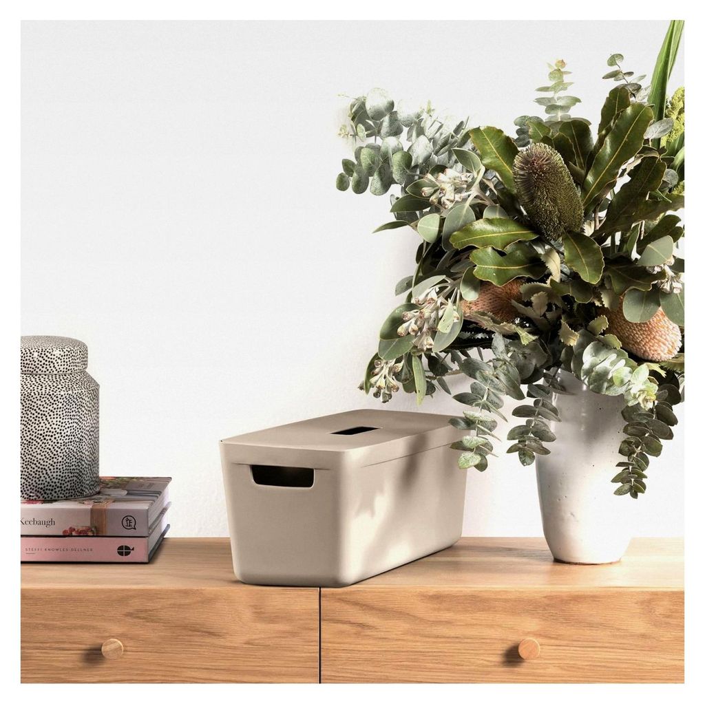 FLEXISTORE Aufbewahrungsbox aus Kunststoff, Organizer Box für Badezimmerregal mit Deckel, 8L, natürliche Farbe
