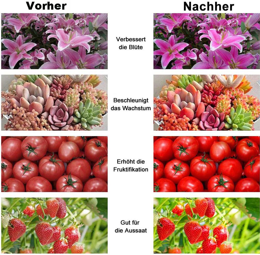 LED Pflanzenlampe Vollspektrum 300W Faltbar, LED Grow Lampe Produktbild 7