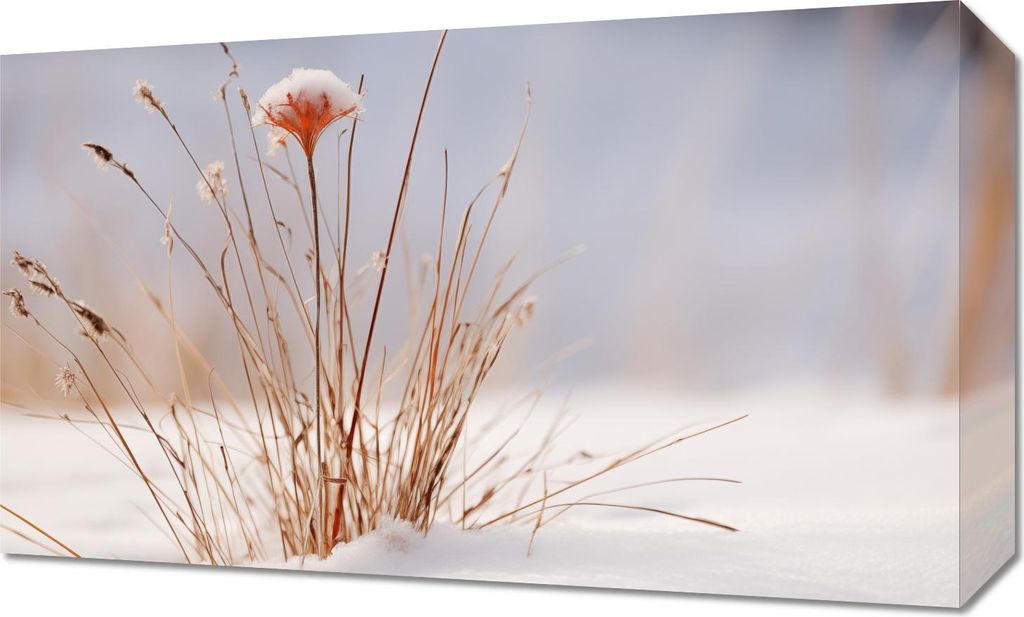 Bild 50x30cm Winter im Detail