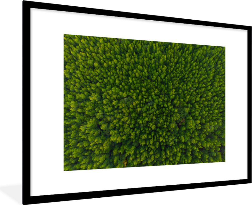 MuchoWow MuchoWow Gerahmtes Poster Wald - Baum - Grün 90x60 cm - Poster mit zchwarzem Bilderrahmen - Wanddekoration - Fotos
