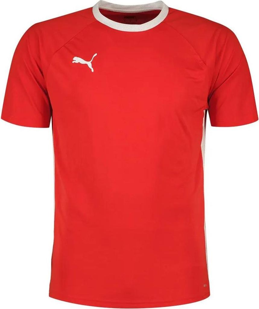 Puma Teamliga Kurzarm-t-shirt Rot S Herren Rot S