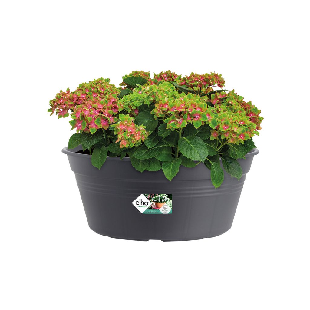 elho green basics Schale 33cm - lebhaft schwarz Produktbild 