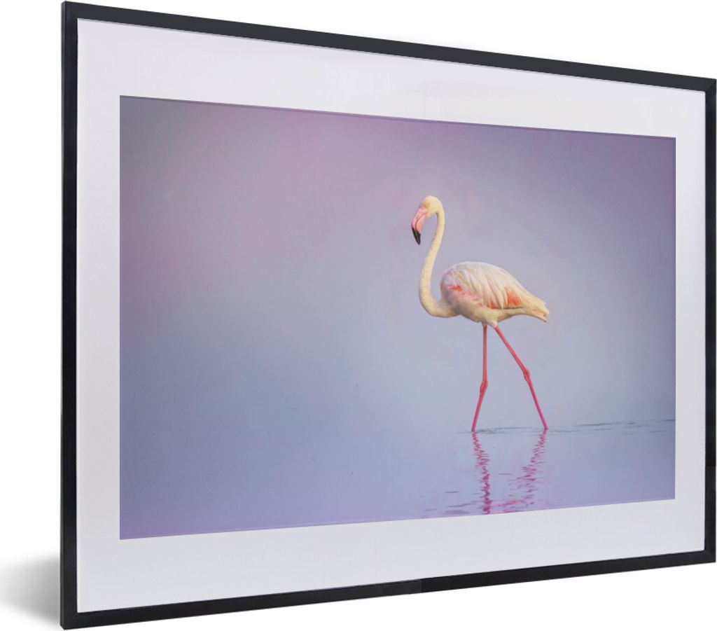 MuchoWow MuchoWow Gerahmtes Poster Flamingo - Wasser - Rosa 40x30 cm - Poster mit zchwarzem Bilderrahmen - Bilderrahmen - Poster im Rahmen
