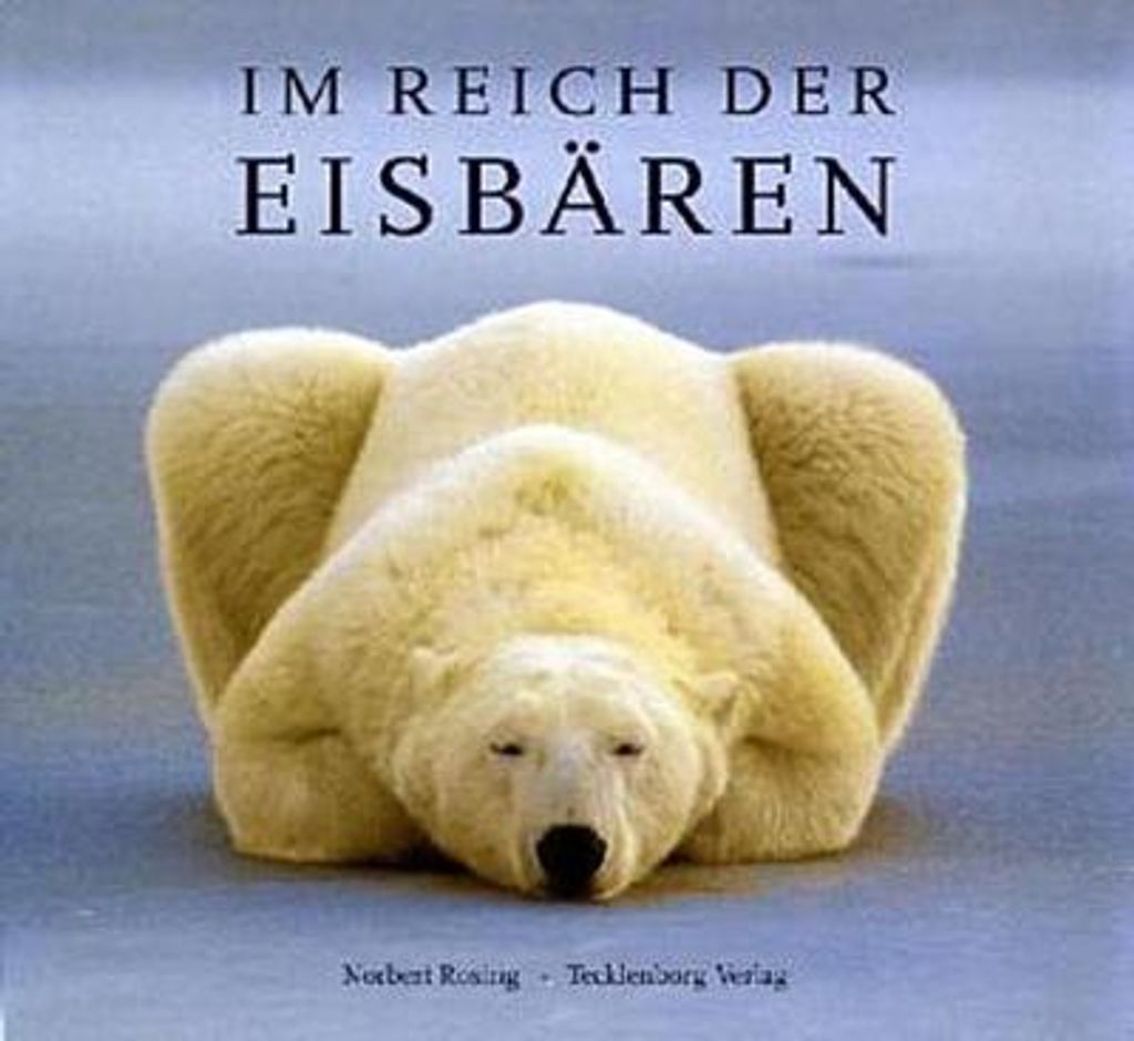 Eisbären