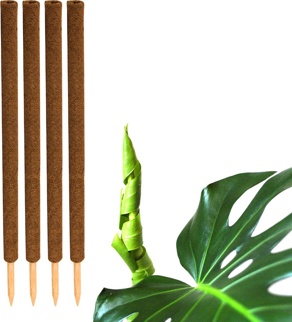 4er Set Pflanzstäbe Kokos 110 cm - Monstera Rankhilfe Produktbild 
