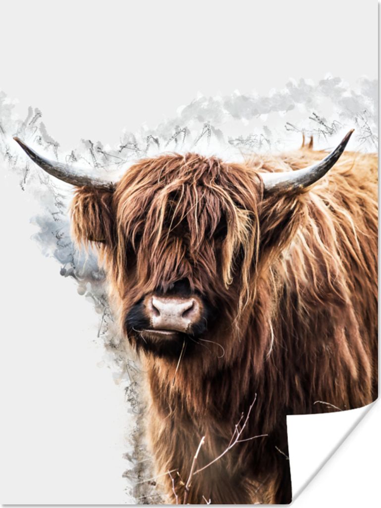 MuchoWow Poster Schottischer Highlander - Tiere - Farbe 120x160 cm - Wandbilder