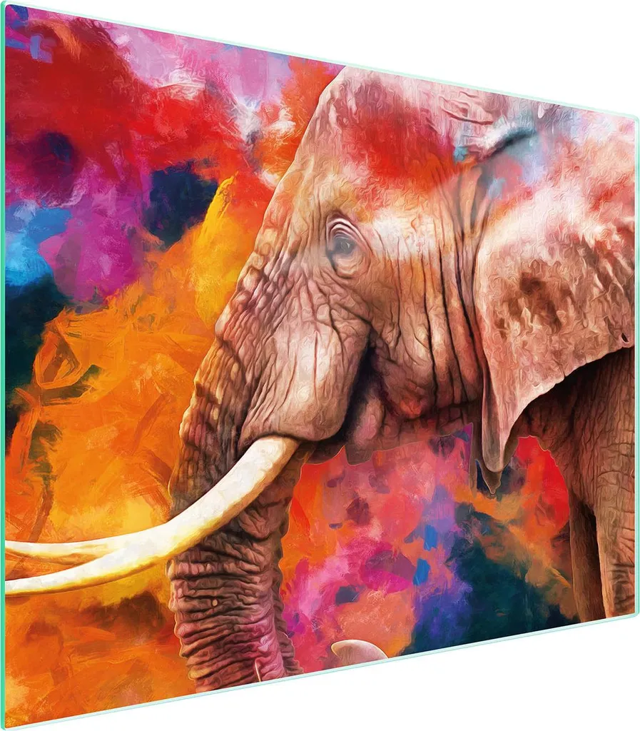 Copri Piano Cottura 52x40 Elefante - Protezione Vetro per Cucina Moderna