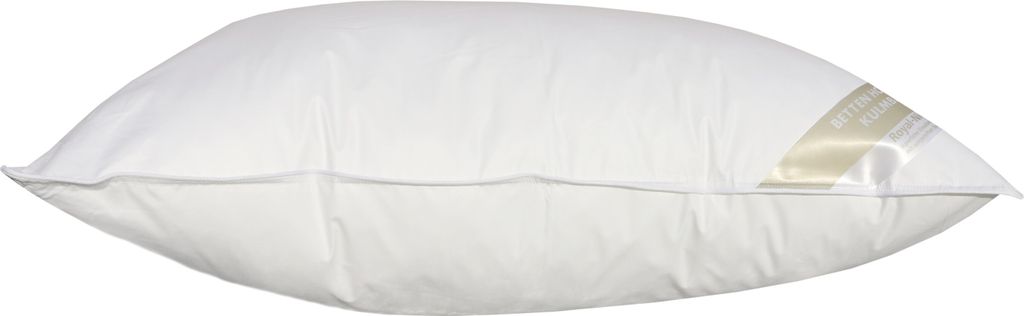 Betten Hofmann Basic Allergiker Kopfkissen Faserkissen 50x75 cm prall 600 g