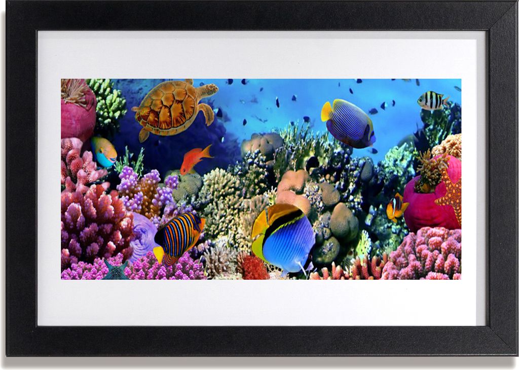 Bild 30x20 MDF-Rahmen Wandkunst Barrier Reef Nature