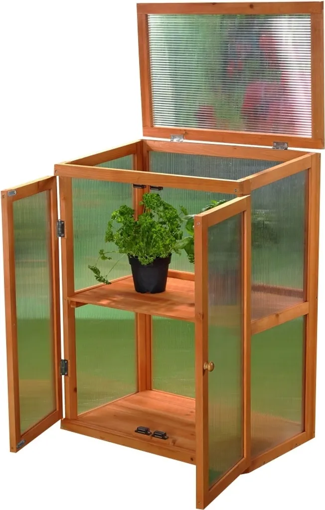 Serra Professionale Legno Abete Rosso 2 Porte - Vetro ad Alta Trasparenza