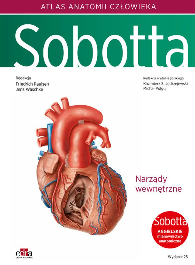 Atlas d'anatomie humaine Sobotta Vol 2 avec nomenclature anglaise officielle