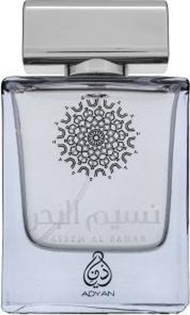 Adyan Naseem Al Bahar Eau de Parfum für Herren 100 ml