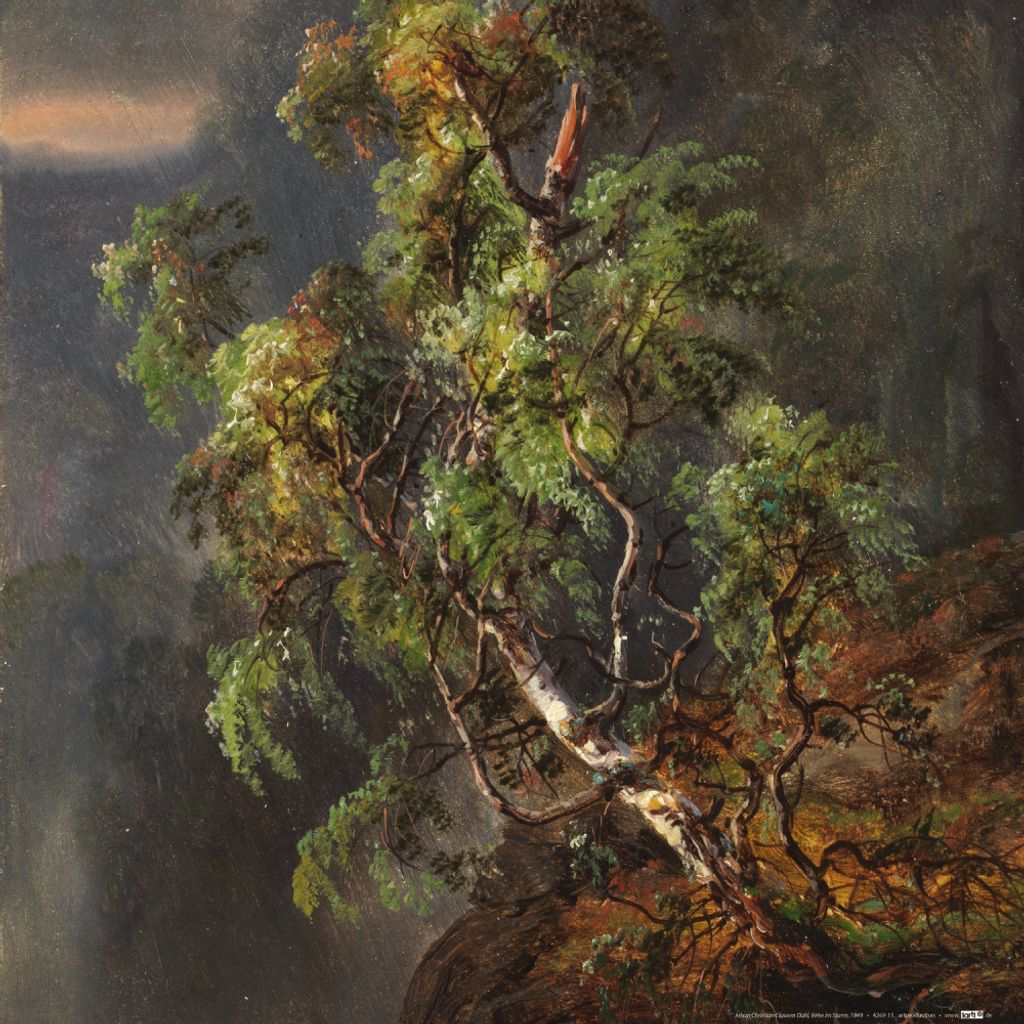 Johan Christian Dahl Kunstdruck Bild - Birke Im Sturm, 1849 (40 x 40 cm)