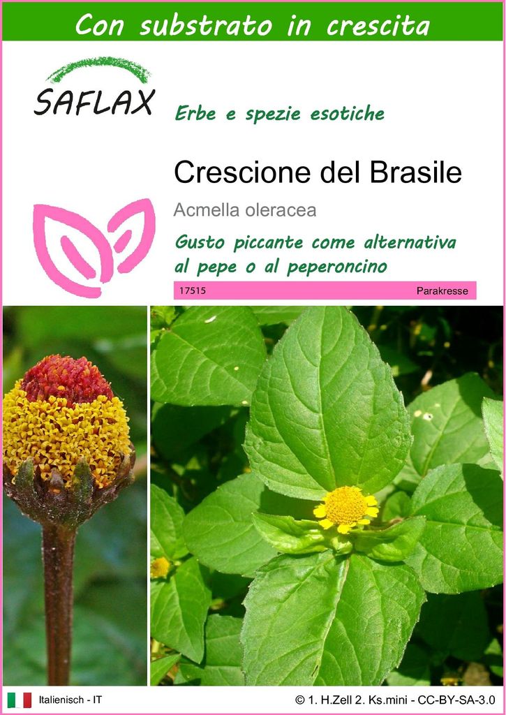 SAFLAX  - Crescione del Brasile - 500 semi - Con substrato Immagine del prodotto 