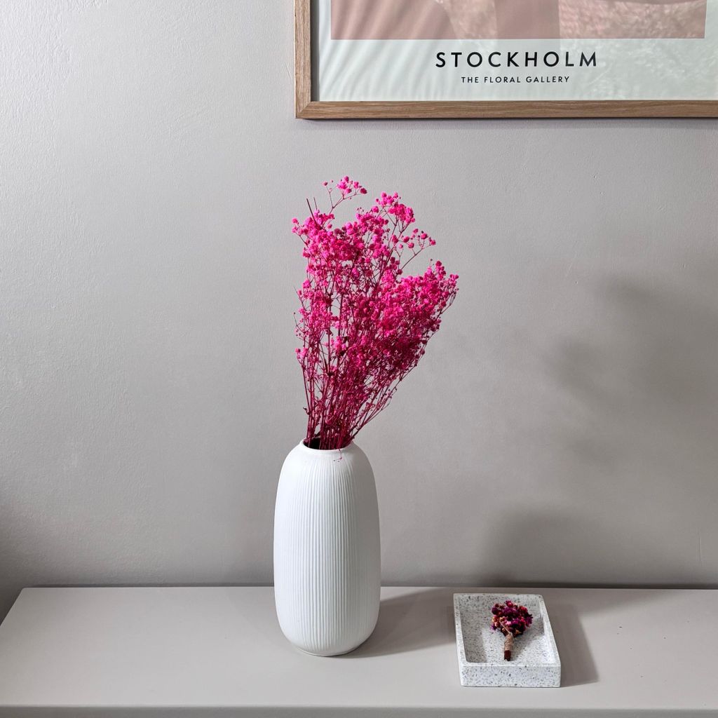 Gypsophila – Schleierkraut konserviert – 1 Bund (60–75cm) – Echte Trockenblumen in Naturweiß, Rosa, Blau, Pink, Gelb oder Lila – Langleb...
