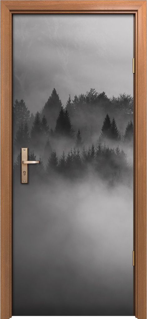 Türposter 80x200 cm Türaufkleber Türtapete Türfolie Klebefolie Deko Kunst Schwarz Weiß Landschaft