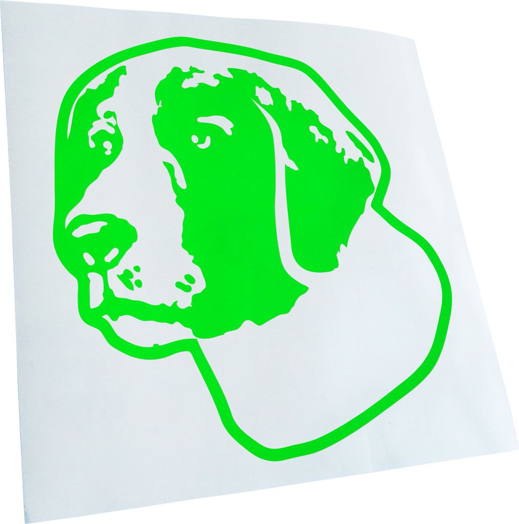 Kiwistar - Autoaufkleber - Irish red and White Setter Hund - Neongrün - 30x27cm - Aufkleber für Auto, Laptop, Fahrrad, LKW, Motorrad Mehrfarbig J...