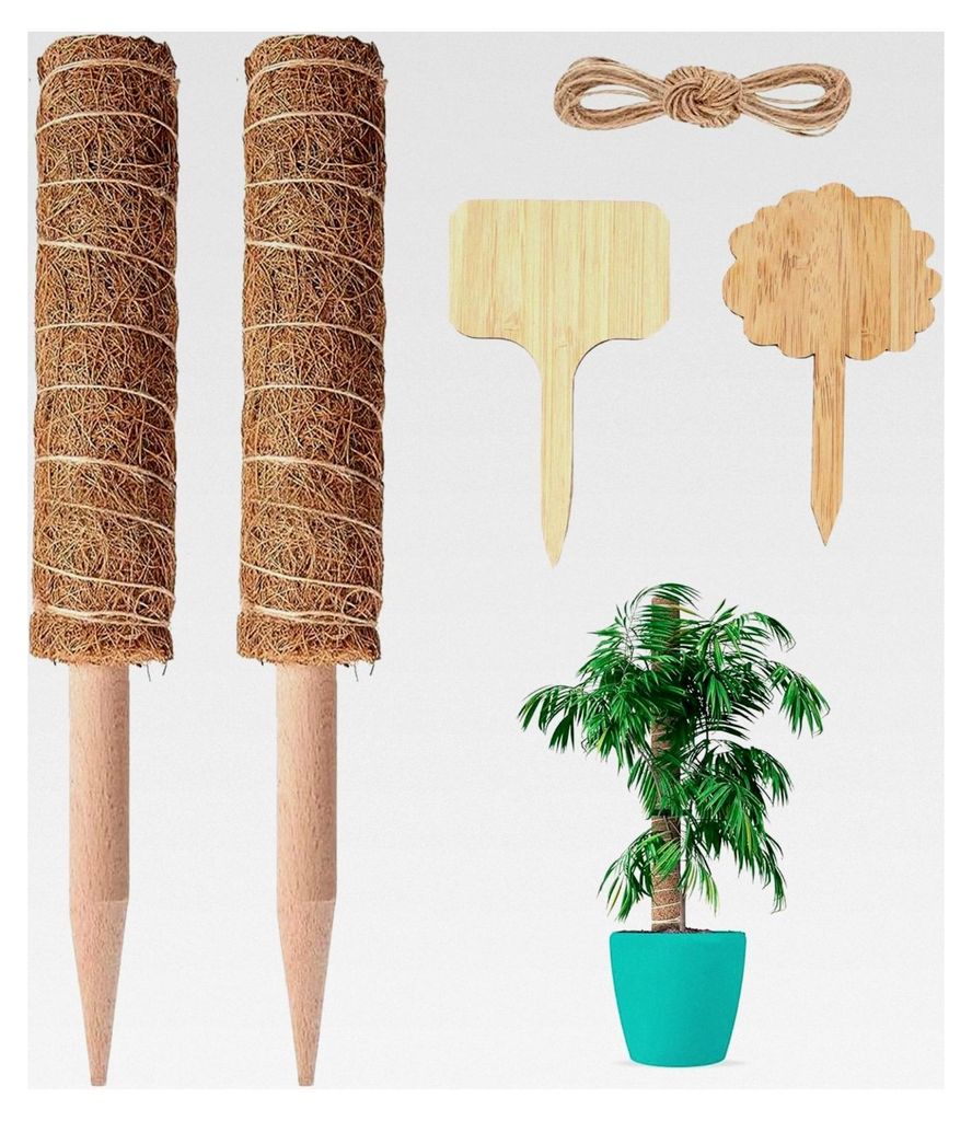 2 Stück Moosstangen für Monstera-Pflanzen, 30 cm ausziehbare Pflanzstäbe aus Kokosfaser