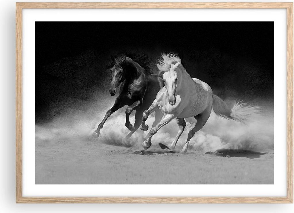 Gerahmtes Poster - Rahmen in heller Eiche - Andalusier Pferde Galopp - 70x50 cm - Wand Bild - Wanddeko - Wandbilder - Wandposter - Bilderrahmen - B...