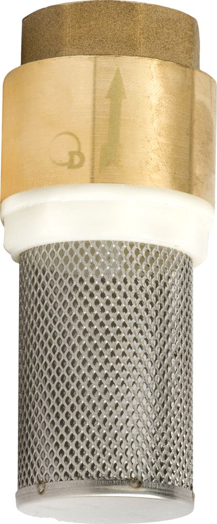 Rückschlagventil Mit 2-Zoll-Saugsieb Aus Messing
