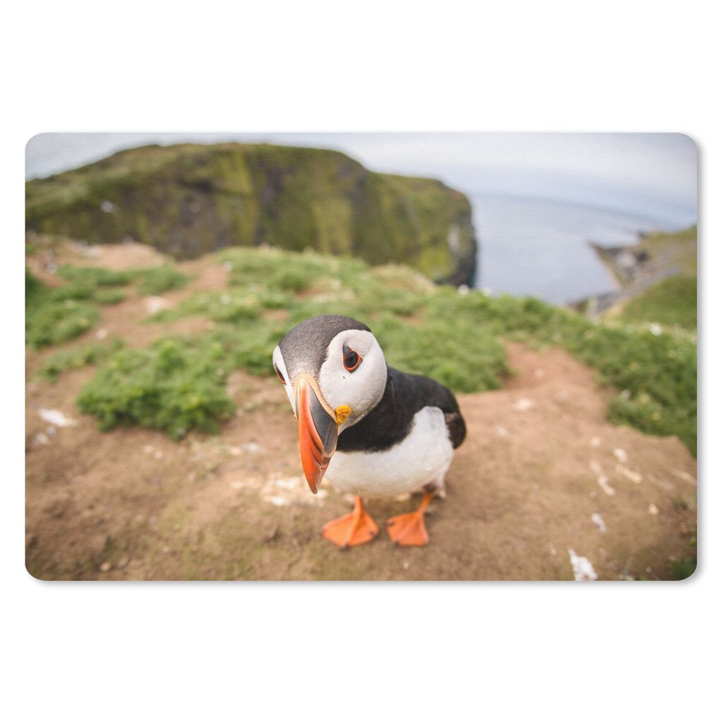 MuchoWow Mauspad Mousepad Nahaufnahme eines Papageientauchers 27x18 cm - Mousepads - Maus Mat - Pad - Mausunterlage - Büroartikel - Desk Matten