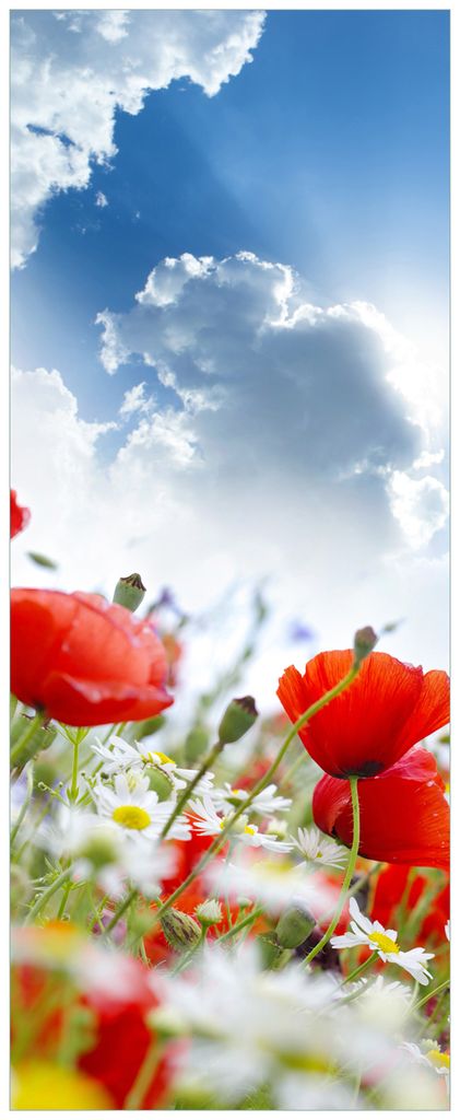 Wallario Premium Glasbild, freischwebende Optik, kräftige Farben, Größe 125 x 50 cm Motiv Mohnblumen unter blauem Himmel