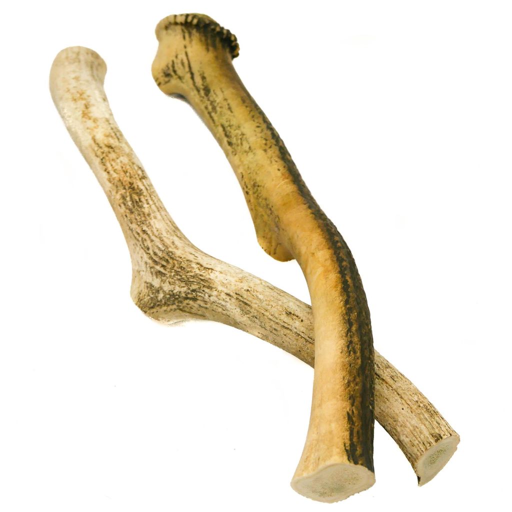 RF-Deer bois de cerf naturel, décoration unique, jouet Image du produit 