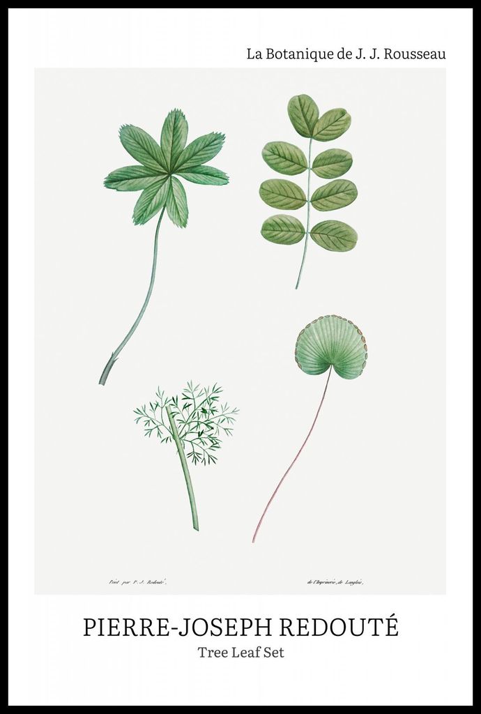 Plakat 61x91,5cm Design Baumblatt Set, Redoute Vintage für das Wohnzimmer