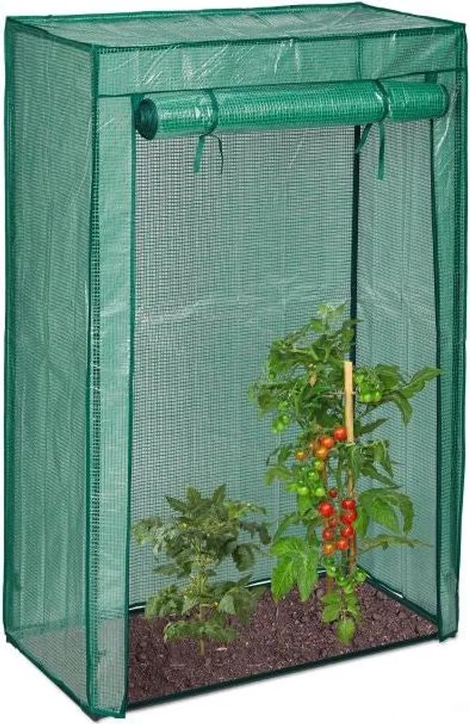 Serre de jardin tunnel pour culture de tomates 6m² structure en acier