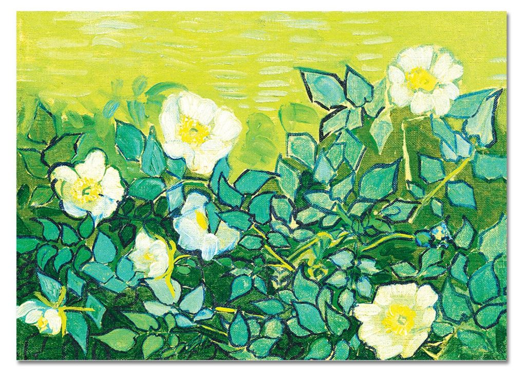 Giallobus - Wilde Rosen - Vincent Van Gogh - 70L x 50B cm - Bild - Acrylglas
