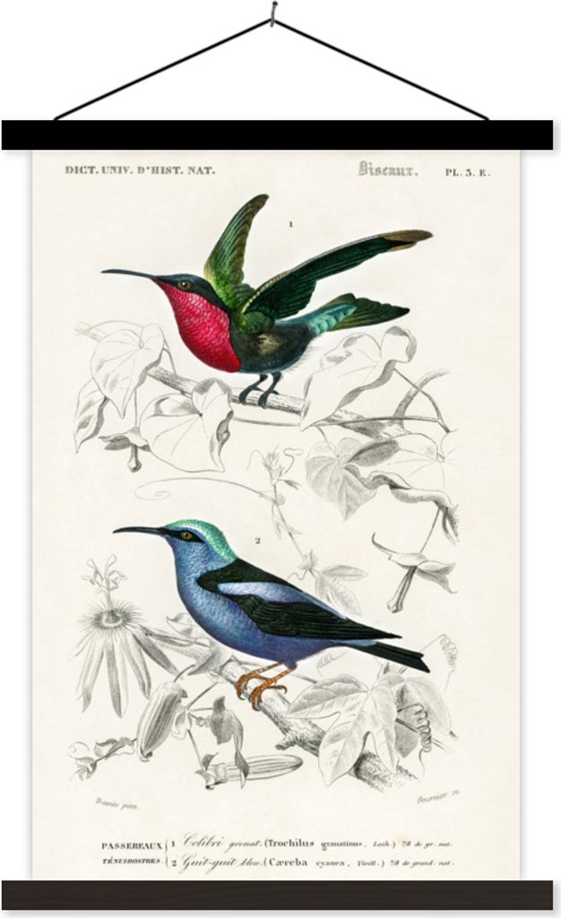 MuchoWow Textilposter Vogel - Vintage - Zweig 60x90 cm mit schwarzem Rahmen - Poster Wohnzimmer