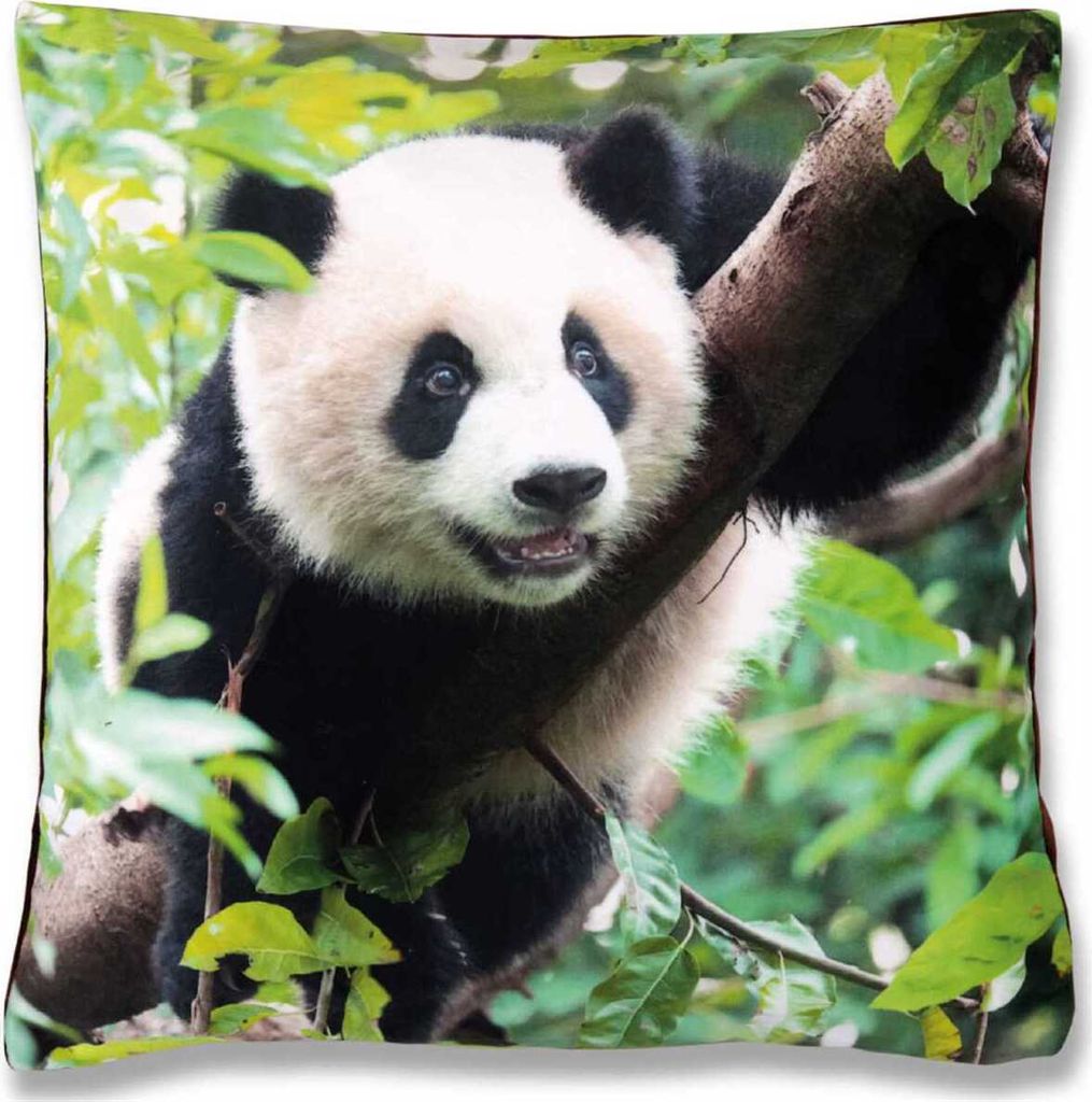 Kissenbezug Fotodruck Motiv in 40x40 cm, Flauschig weiche Produktbild 