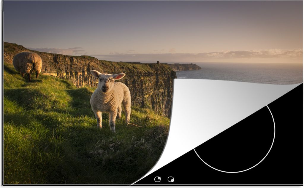 KitchenYeah Herdabdeckplatte Schafe - Natur - Irland , 80x52cm, Küche Deko, Glaskeramikfeld Herdabdeckung, Abdeckplatte fùr Kochfeld