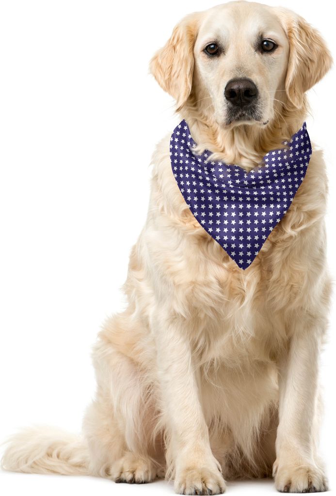 ABAKUHAUS amerikanisch Haustier Bandana, Flagge mit Sternen, 40x40 cm, lila Weiß